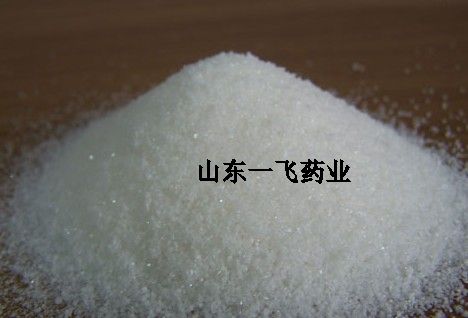 ˼Ӧ